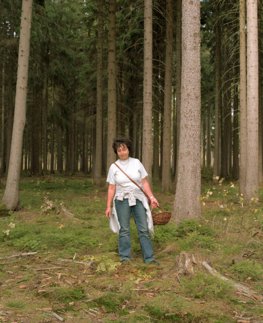 Ronny Ristok, "In die Pilze II“, aus "Sammler sammeln", 2013