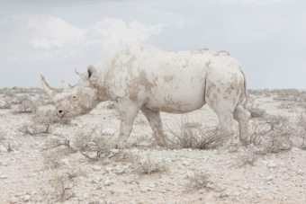 Maroesjka Lavigne, aus der Serie „Land of Nothingness“, courtesy SWPA 2016