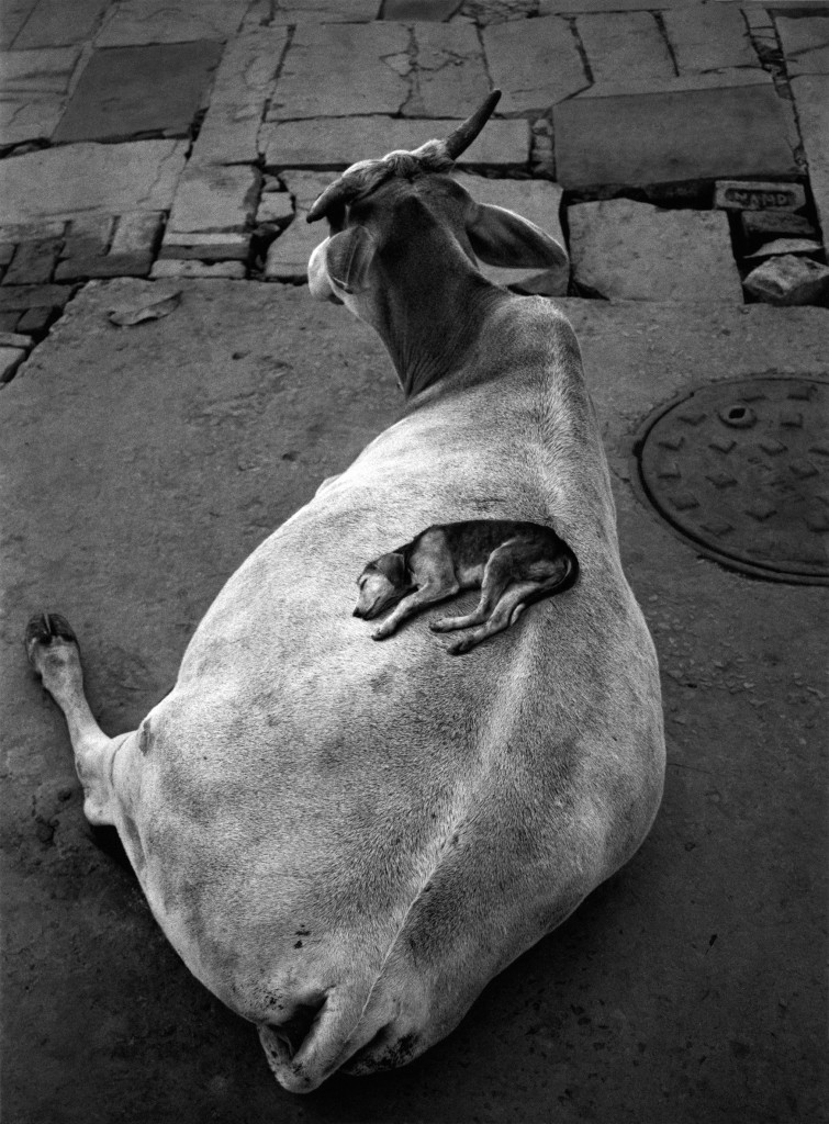 Sammallahti. Varanasi, Indien, 1999.