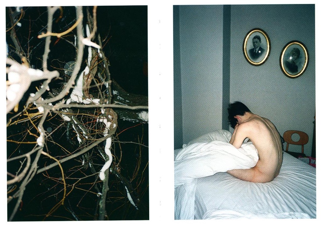 Ekaterina Anokhina - 25 Weeks of Winter